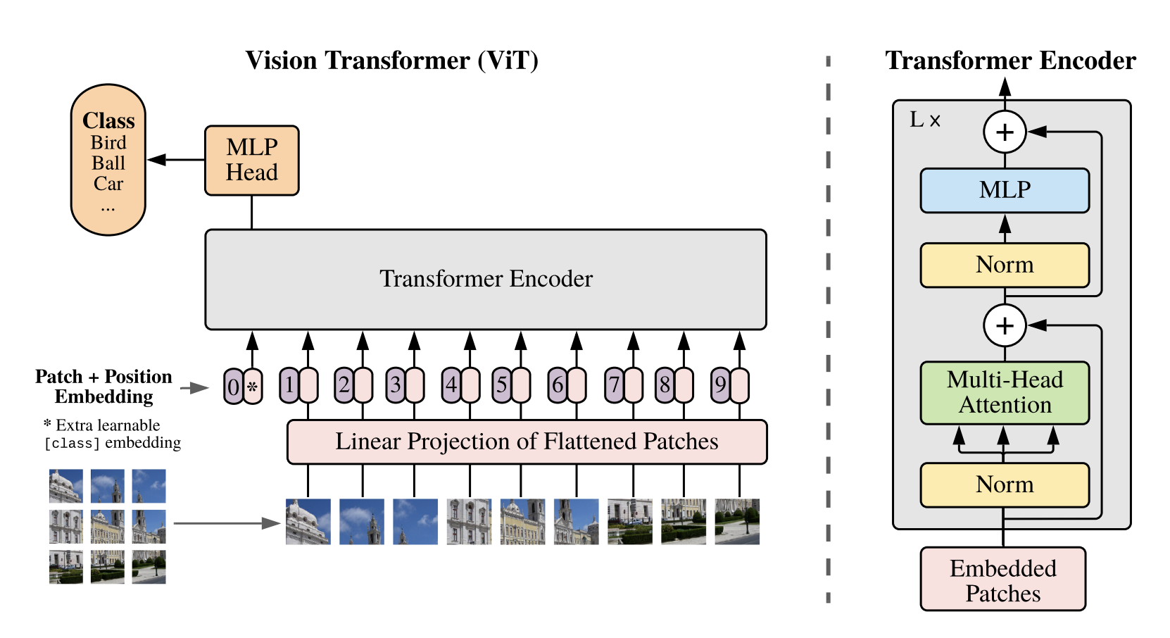 Vision Transformer（ViT）